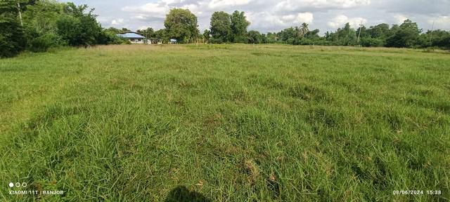 ที่ดิน 3456700 สระแก้ว วัฒนานคร หนองแวง ที่ดิน 3456700 สระแก้ว วัฒนานคร หนองแวง