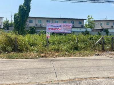 ที่ดิน 4900000 ปทุมธานี ธัญบุรี ประชาธิปัตย์