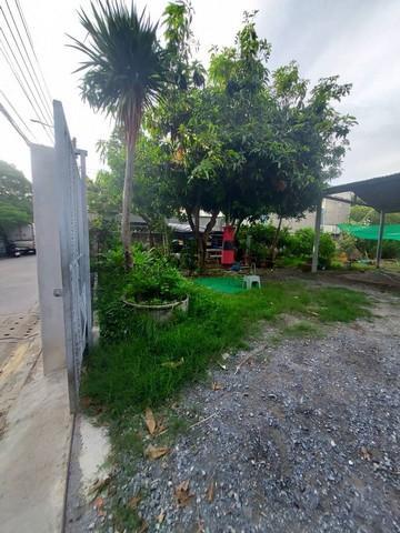 ที่ดิน 10500000 กรุงเทพมหานคร เขตวังทองหลาง วังทองหลาง ที่ดิน 10500000 กรุงเทพมหานคร เขตวังทองหลาง วังทองหลาง