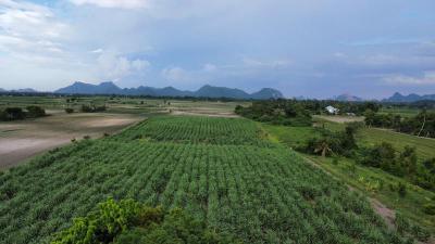 ที่ดิน 15000000 สระบุรี พระพุทธบาท ขุนโขลน
