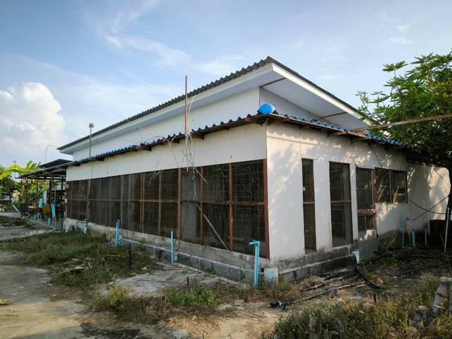 ที่ดิน 7900000 สระบุรี หนองแค หนองโรง ที่ดิน 7900000 สระบุรี หนองแค หนองโรง