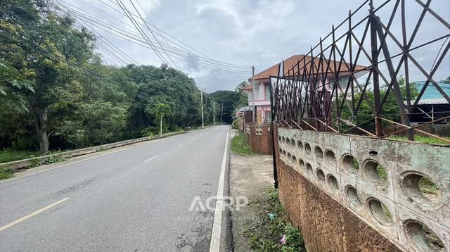 ที่ดิน 19349750 เชียงใหม่ แม่ริม เหมืองแก้ว ที่ดิน 19349750 เชียงใหม่ แม่ริม เหมืองแก้ว