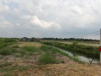 ที่ดิน 800000 ปทุมธานี ลาดหลุมแก้ว บ่อเงิน