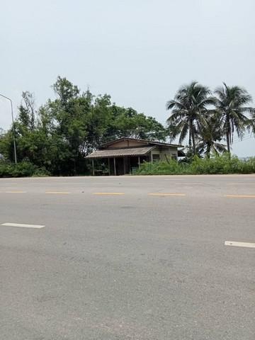 ที่ดิน 5900000 ชุมพร ปะทิว สะพลี