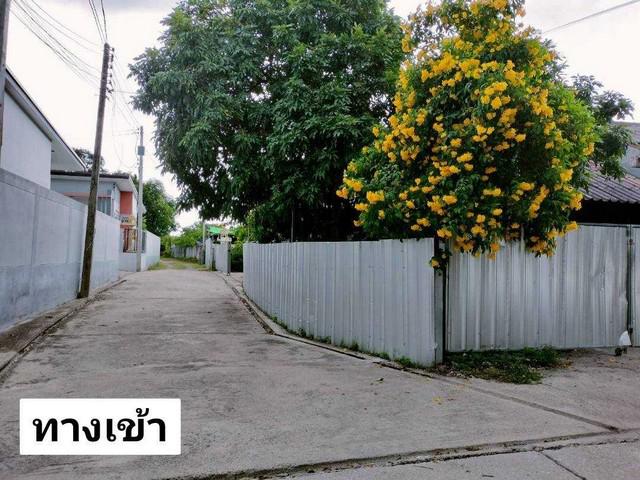 ที่ดิน 2500000 นครสวรรค์ เมืองนครสวรรค์ หนองกรด ที่ดิน 2500000 นครสวรรค์ เมืองนครสวรรค์ หนองกรด