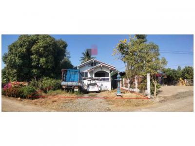 บ้านเดี่ยว 600000 พิจิตร กิ่งอำเภอดงเจริญ ห้วยพุก