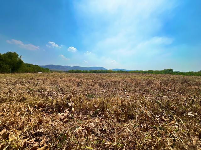 ที่ดิน 5000000 สระบุรี วังม่วง วังม่วง ที่ดิน 5000000 สระบุรี วังม่วง วังม่วง
