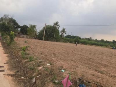 ที่ดิน 8112000 ชลบุรี ศรีราชา บ่อวิน