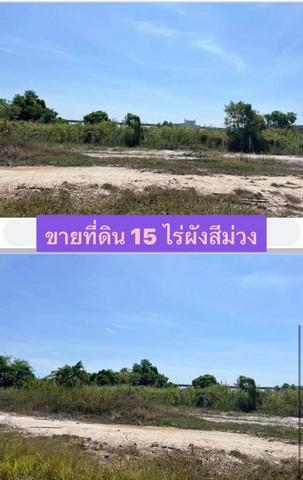 ที่ดิน 90000000 ชลบุรี พานทอง บ้านเก่า ที่ดิน 90000000 ชลบุรี พานทอง บ้านเก่า
