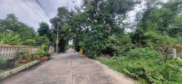 ที่ดิน 4620000 กรุงเทพมหานคร เขตสะพานสูง สะพานสูง ที่ดิน 4620000 กรุงเทพมหานคร เขตสะพานสูง สะพานสูง