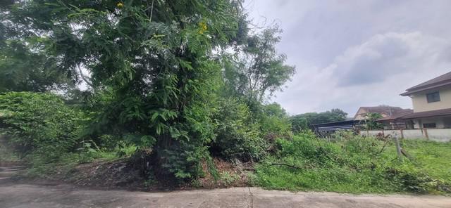 ที่ดิน 4620000 กรุงเทพมหานคร เขตสะพานสูง สะพานสูง ที่ดิน 4620000 กรุงเทพมหานคร เขตสะพานสูง สะพานสูง