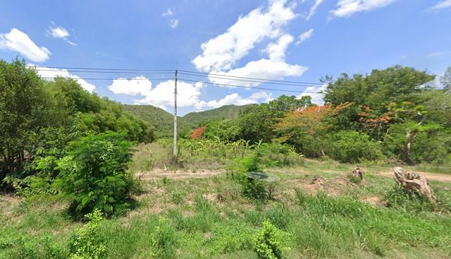 ที่ดิน 1250000 ประจวบคีรีขันธ์ หัวหิน หนองพลับ ที่ดิน 1250000 ประจวบคีรีขันธ์ หัวหิน หนองพลับ