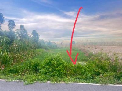 ที่ดิน 890000 ปทุมธานี คลองหลวง คลองห้า