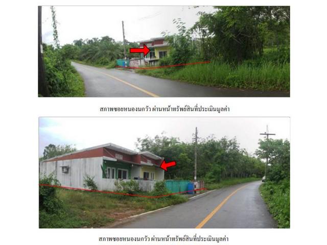 บ้านเดี่ยว 1400000 ตรัง ปะเหลียน ท่าพญา บ้านเดี่ยว 1400000 ตรัง ปะเหลียน ท่าพญา
