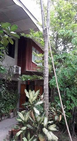 บ้านเดี่ยว 6000000 เพชรบุรี ชะอำ ชะอำ บ้านเดี่ยว 6000000 เพชรบุรี ชะอำ ชะอำ