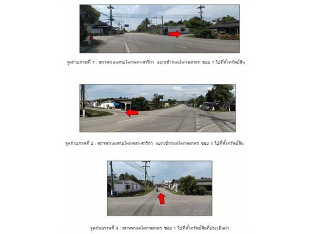อาคารพาณิชย์ 2300000 ตรัง เมืองตรัง โคกหล่อ อาคารพาณิชย์ 2300000 ตรัง เมืองตรัง โคกหล่อ