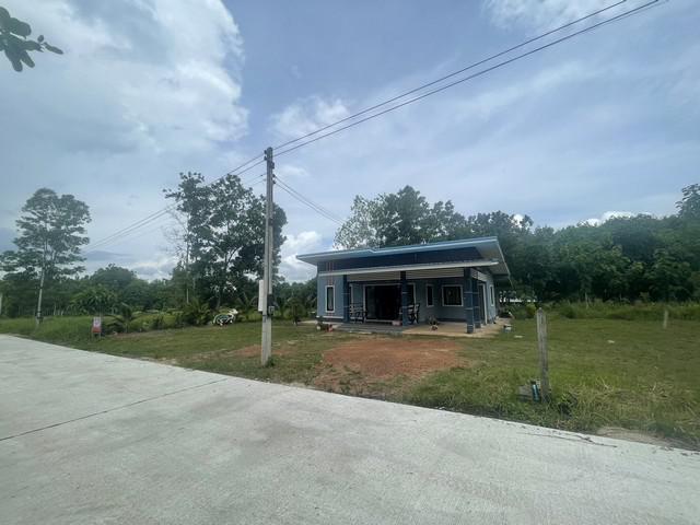 บ้านเดี่ยว 2200000 นครศรีธรรมราช ทุ่งสง หนองหงส์