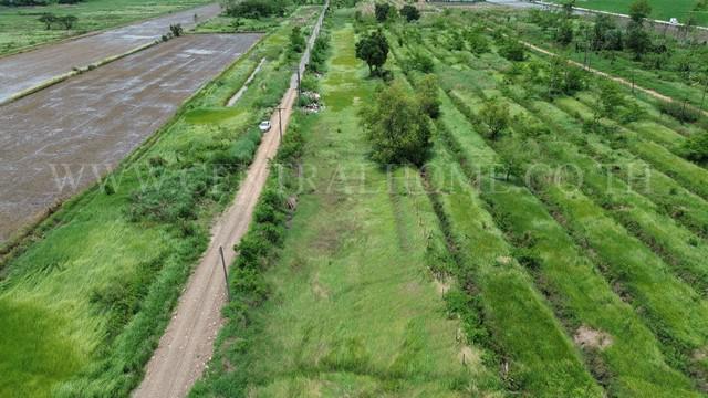 ที่ดิน 1200000 ปทุมธานี ธัญบุรี บึงน้ำรักษ์ ที่ดิน 1200000 ปทุมธานี ธัญบุรี บึงน้ำรักษ์