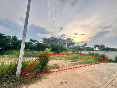 ที่ดิน 1390000 พิษณุโลก เมืองพิษณุโลก วัดจันทร์
