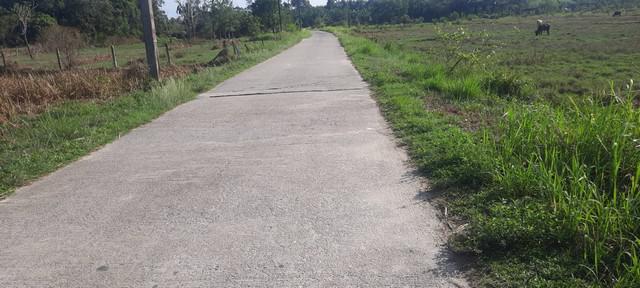 ที่ดิน 750000 นครศรีธรรมราช ท่าศาลา ไทยบุรี ที่ดิน 750000 นครศรีธรรมราช ท่าศาลา ไทยบุรี
