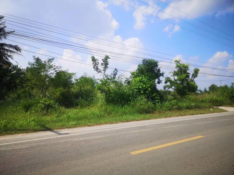 ที่ดิน 2500000 ประจวบคีรีขันธ์ หัวหิน หัวหิน ที่ดิน 2500000 ประจวบคีรีขันธ์ หัวหิน หัวหิน