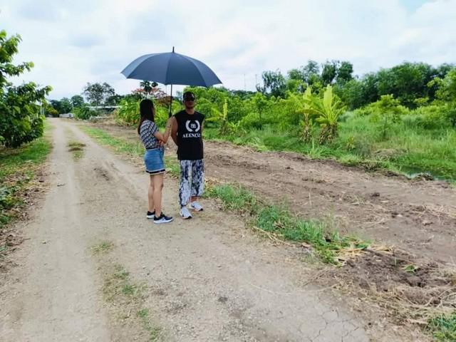 ที่ดิน 780000 ปทุมธานี หนองเสือ บึงกาสาม ที่ดิน 780000 ปทุมธานี หนองเสือ บึงกาสาม