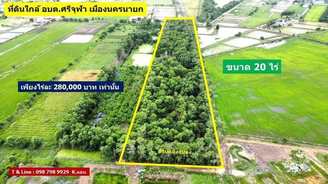 ที่ดิน 280000 นครนายก เมืองนครนายก ที่ดิน 280000 นครนายก เมืองนครนายก