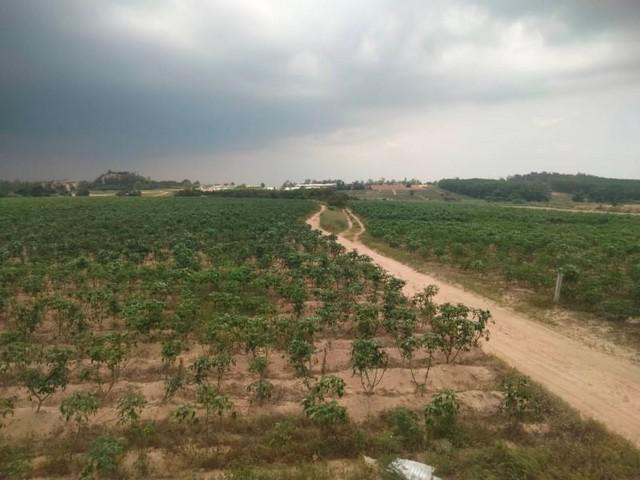 ที่ดิน 38000000 ระยอง ปลวกแดง ปลวกแดง ที่ดิน 38000000 ระยอง ปลวกแดง ปลวกแดง
