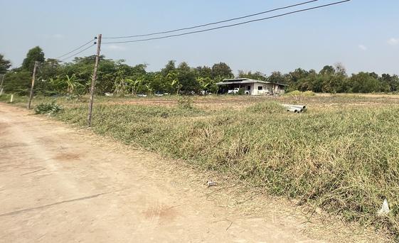 ที่ดิน 1600000 สระบุรี หนองแค โคกแย้ ที่ดิน 1600000 สระบุรี หนองแค โคกแย้