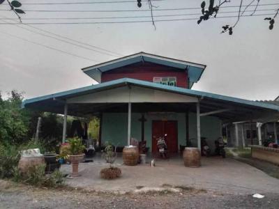 ที่ดิน 980000 ปทุมธานี หนองเสือ หนองสามวัง
