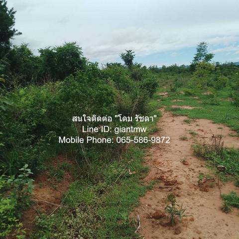 ที่ดิน 8000000 เพชรบุรี แก่งกระจาน วังจันทร์ ที่ดิน 8000000 เพชรบุรี แก่งกระจาน วังจันทร์