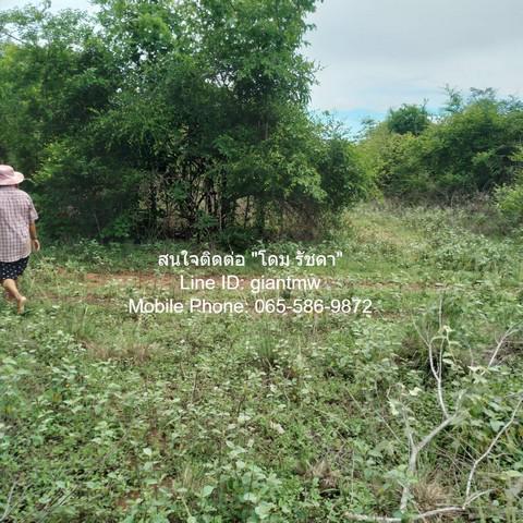 ที่ดิน 8000000 เพชรบุรี แก่งกระจาน วังจันทร์ ที่ดิน 8000000 เพชรบุรี แก่งกระจาน วังจันทร์