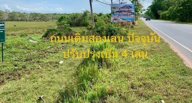 ที่ดิน 18000000 สุราษฎร์ธานี ไชยา พุมเรียง ที่ดิน 18000000 สุราษฎร์ธานี ไชยา พุมเรียง