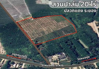 ที่ดิน 350000 ระยอง ปลวกแดง หนองไร่