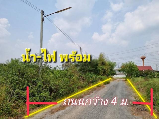 ที่ดิน 550000 ปทุมธานี หนองเสือ บึงชำอ้อ ที่ดิน 550000 ปทุมธานี หนองเสือ บึงชำอ้อ