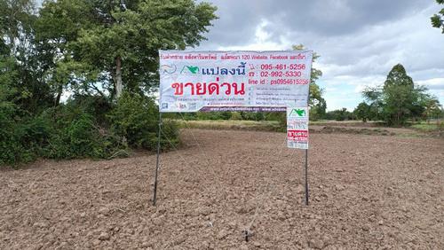 ที่ดิน 800000 ชัยภูมิ จัตุรัส บ้านขาม ที่ดิน 800000 ชัยภูมิ จัตุรัส บ้านขาม