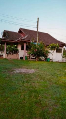 บ้านเดี่ยว 4200000 หนองบัวลำภู เมืองหนองบัวลำภู หนองบัว