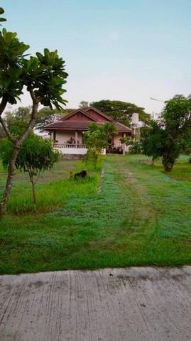 บ้านเดี่ยว 4200000 หนองบัวลำภู เมืองหนองบัวลำภู หนองบัว บ้านเดี่ยว 4200000 หนองบัวลำภู เมืองหนองบัวลำภู หนองบัว