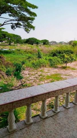 บ้านเดี่ยว 4200000 หนองบัวลำภู เมืองหนองบัวลำภู หนองบัว บ้านเดี่ยว 4200000 หนองบัวลำภู เมืองหนองบัวลำภู หนองบัว