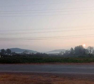 ที่ดิน 14290000 นครราชสีมา ปากช่อง วังไทร