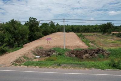 ที่ดิน 4900000 พิจิตร เมืองพิจิตร ป่ามะคาบ