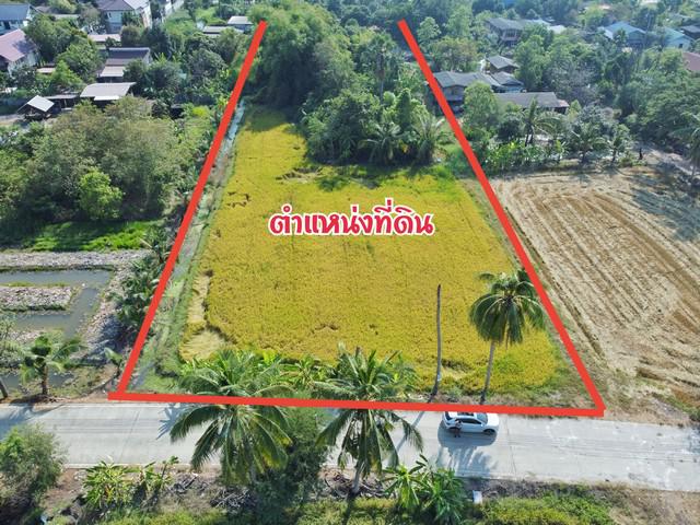 ที่ดิน 52500000 ปทุมธานี สามโคก บางโพธิ์เหนือ ที่ดิน 52500000 ปทุมธานี สามโคก บางโพธิ์เหนือ