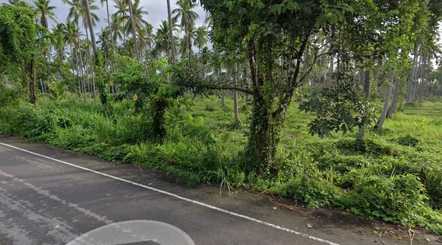 ที่ดิน 15000000 ประจวบคีรีขันธ์ ทับสะแก นาหูกวาง ที่ดิน 15000000 ประจวบคีรีขันธ์ ทับสะแก นาหูกวาง