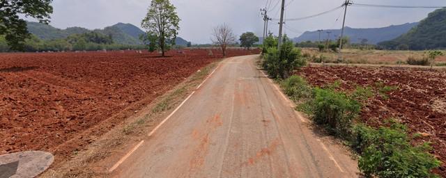 ที่ดิน 12500000 นครราชสีมา ปากช่อง หนองน้ำแดง ที่ดิน 12500000 นครราชสีมา ปากช่อง หนองน้ำแดง