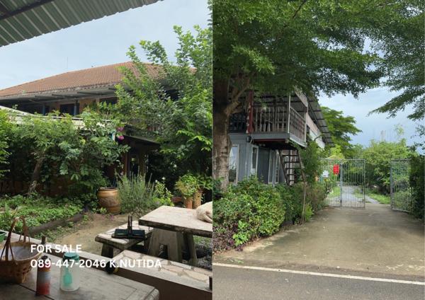 ที่ดิน 23982000 นนทบุรี บางใหญ่ บางแม่นาง ที่ดิน 23982000 นนทบุรี บางใหญ่ บางแม่นาง