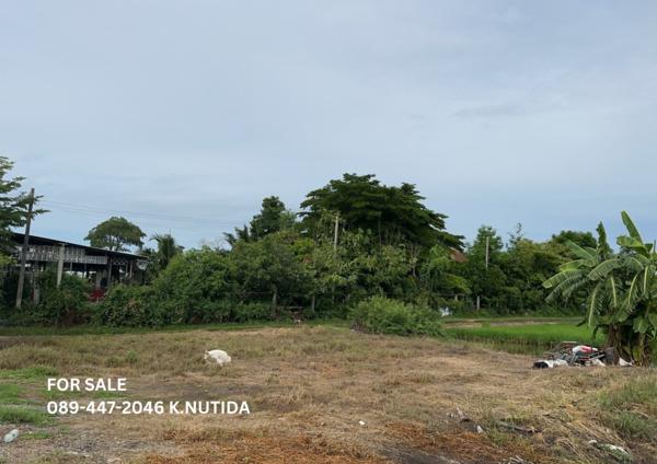 ที่ดิน 23982000 นนทบุรี บางใหญ่ บางแม่นาง ที่ดิน 23982000 นนทบุรี บางใหญ่ บางแม่นาง