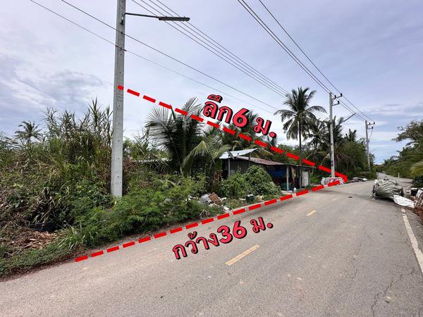 ที่ดิน 6190000 สมุทรสงคราม เมืองสมุทรสงคราม ลาดใหญ่ ที่ดิน 6190000 สมุทรสงคราม เมืองสมุทรสงคราม ลาดใหญ่