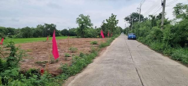 ที่ดิน 700000 ปทุมธานี หนองเสือ บึงบอน ที่ดิน 700000 ปทุมธานี หนองเสือ บึงบอน