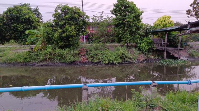 ที่ดิน 5600000 ปทุมธานี เมืองปทุมธานี บ้านฉาง ที่ดิน 5600000 ปทุมธานี เมืองปทุมธานี บ้านฉาง