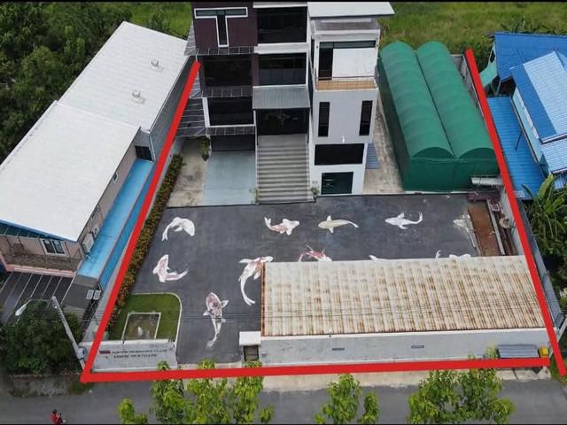 อาคารพาณิชย์ 43000000 กรุงเทพมหานคร เขตบางเขน ท่าแร้ง อาคารพาณิชย์ 43000000 กรุงเทพมหานคร เขตบางเขน ท่าแร้ง